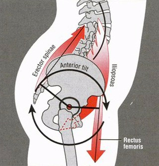 hip-structure
