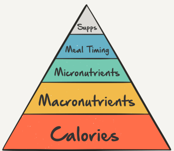nutrition-heirarchy-of-importance