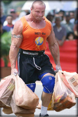 Bringing-In-The-Groceries.png